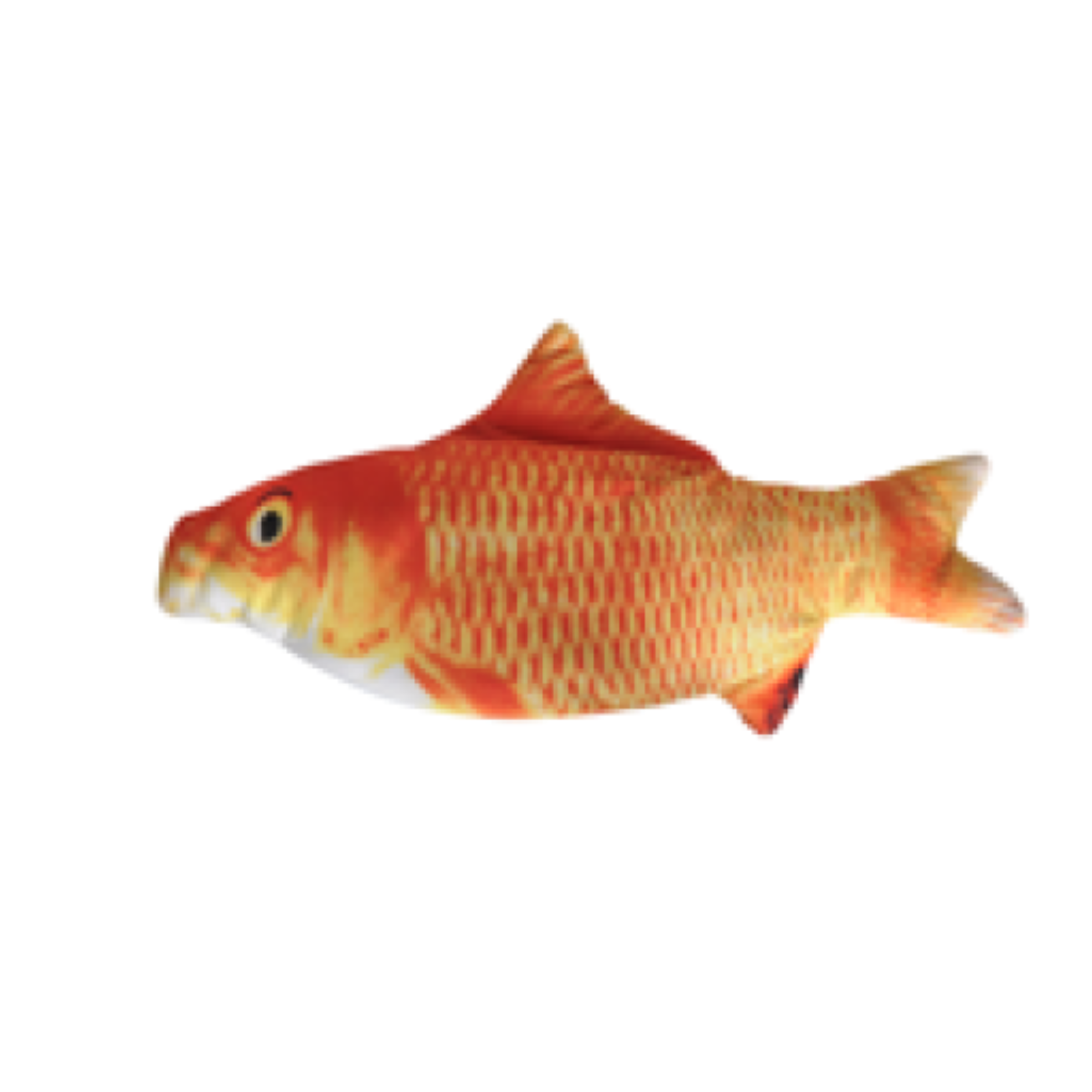 Camon Juguete Interactivo Gato Carpa usb Camon Juguete Interactivo Gato Carpa usb