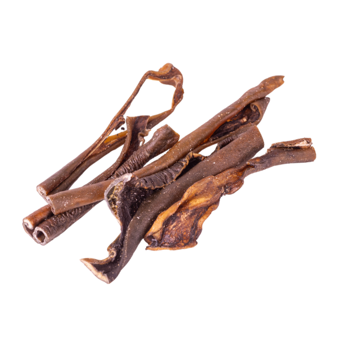 Quibropets Piel de jabali Quibropets Piel de jabali