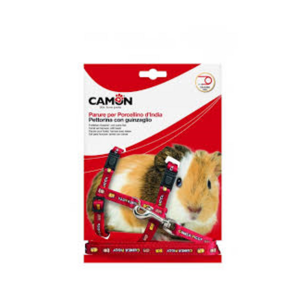 Camon Arnés y Correa para Cobayas